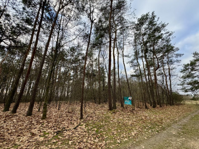 Twoja oaza w lesie - Romanów  - Łódzkie