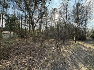 Działka budowlana1437m2RydzynkiulŻabiałódzkie - Rydzynki  -
Łódzkie Zdjęcie nr 10