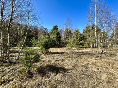 Duża działka za nieduże pieniądze - Solec Kujawski  -
Kujawsko-Pomorskie Zdjęcie nr 2