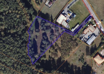 Duża działka za nieduże pieniądze - Solec Kujawski  -
Kujawsko-Pomorskie Zdjęcie nr 6