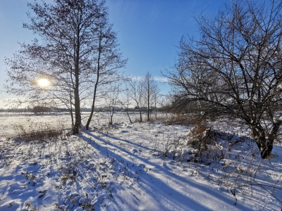 Działka budowlana 13 ar  Głuchów blisko Łańcuta - Głuchów  - Podkarpackie