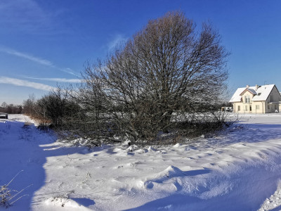 Działka budowlana 13 ar  Głuchów blisko Łańcuta - Głuchów  -
Podkarpackie Zdjęcie nr 3