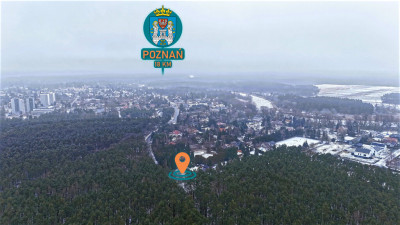 1233 m spokoju Las za płotem w Puszczykowie - Puszczykowo  -
Wielkopolskie Zdjęcie nr 4