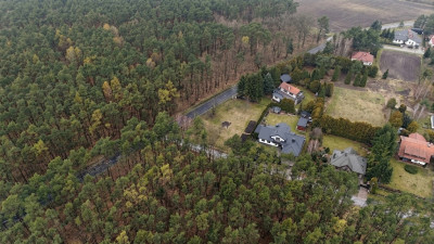 1233 m spokoju Las za płotem w Puszczykowie - Puszczykowo  -
Wielkopolskie Zdjęcie nr 9