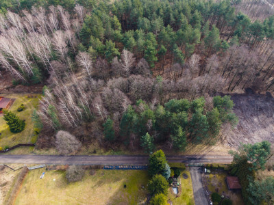 Iwona Pavlović by dała 1010 - Zagłoba  -
Łódzkie Zdjęcie nr 10