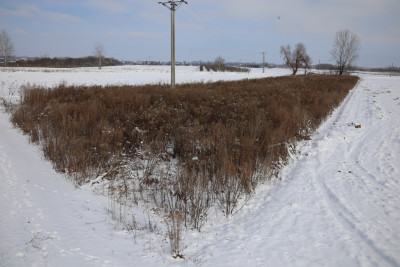 Rolniku Działka z warunkami zabudowy-Mściów - Mściów  - Świętokrzyskie