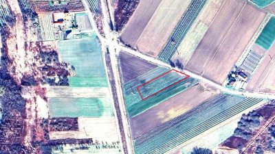 Rolniku Działka z warunkami zabudowy-Mściów - Mściów  -
Świętokrzyskie Zdjęcie nr 2