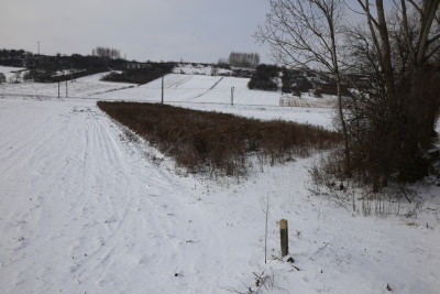 Rolniku Działka z warunkami zabudowy-Mściów - Mściów  -
Świętokrzyskie Zdjęcie nr 3