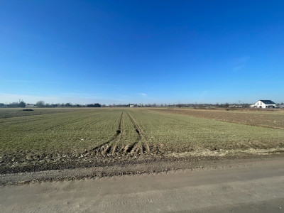 Zbuduj więcej Żyj wygodniej - Rzgów  -
Łódzkie Zdjęcie nr 3