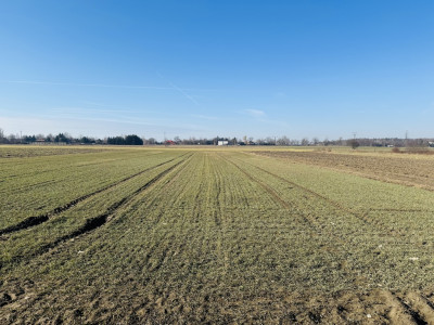 Zbuduj więcej Żyj wygodniej - Rzgów  -
Łódzkie Zdjęcie nr 5