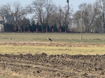 Zbuduj więcej Żyj wygodniej - Rzgów  -
Łódzkie Zdjęcie nr 7