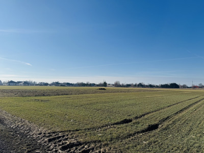 Zbuduj więcej Żyj wygodniej - Rzgów  -
Łódzkie Zdjęcie nr 8