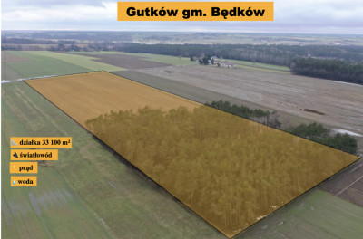 Podmiejskie Ranczo - 331 ha WOLNOŚCI LAS i W-Z  - Gutków  -
Łódzkie Zdjęcie nr 3