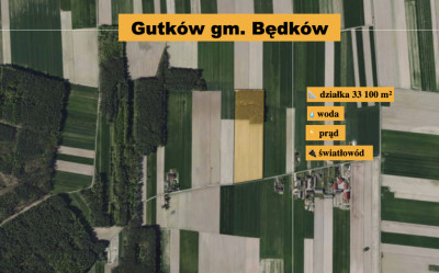 Podmiejskie Ranczo - 331 ha WOLNOŚCI LAS i W-Z  - Gutków  -
Łódzkie Zdjęcie nr 4
