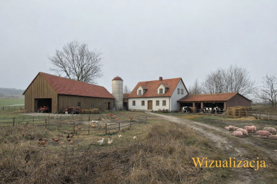 Rolniku nie szukaj żony znajdź działkę - Róża  - Łódzkie