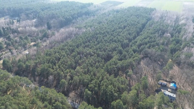 Działka budowlana 1200 m Helenów MPZP - Helenów  -
Łódzkie Zdjęcie nr 2