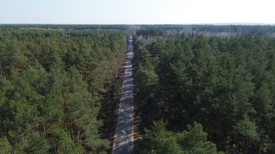 Działka budowlana 1200 m Helenów MPZP - Helenów  -
Łódzkie Zdjęcie nr 4