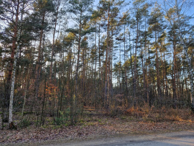 Działka budowlana 1200 m Helenów MPZP - Helenów  -
Łódzkie Zdjęcie nr 5