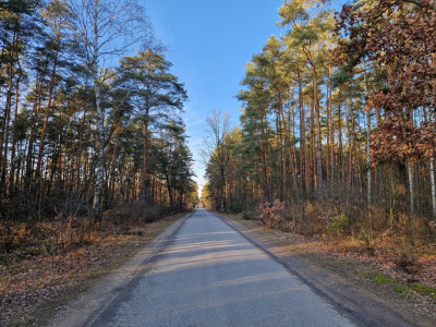Działka budowlana 1200 m Helenów MPZP - Helenów  -
Łódzkie Zdjęcie nr 6