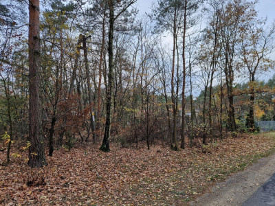 REZERWACJA - Helenów  - Łódzkie