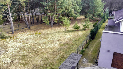 Urokliwa działka porośnięta sosnami - Rakownia  -
Wielkopolskie Zdjęcie nr 12