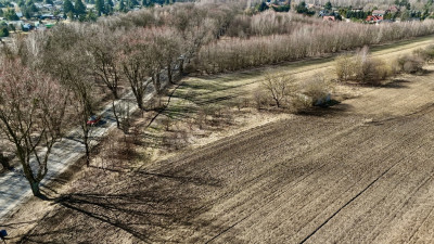 Fajna działka - Łagiewniki Nowe  -
Łódzkie Zdjęcie nr 10