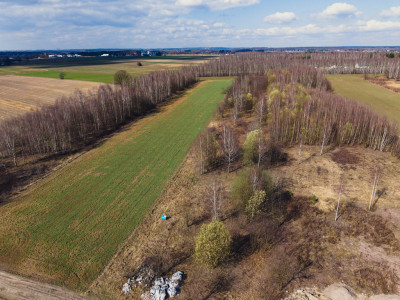 Działka budowlana 966m Justynów  MPZP - Justynów  -
Łódzkie Zdjęcie nr 7
