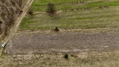 Działka budowlana 3000 m Dąbrówka - Marianka - Dąbrówka-Strumiany  -
Łódzkie Zdjęcie nr 12