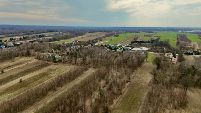 Działka budowlana 3000 m Dąbrówka - Marianka - Dąbrówka-Strumiany  - Łódzkie