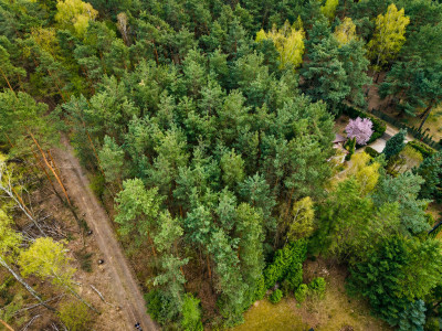 Działka przy lesie  Rosanów  1023m2 - Rosanów  -
Łódzkie Zdjęcie nr 3