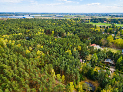 Działka przy lesie  Rosanów  1023m2 - Rosanów  -
Łódzkie Zdjęcie nr 6