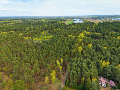 Działka przy lesie  Rosanów  1023m2 - Rosanów  -
Łódzkie Zdjęcie nr 7