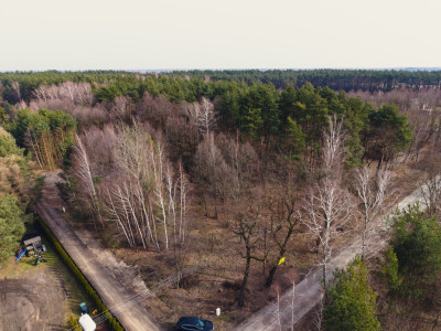 Tanio dobrze i realnie - Zagłoba  -
Łódzkie Zdjęcie nr 3