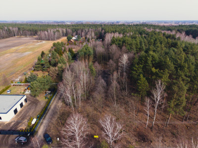 Tanio dobrze i realnie - Zagłoba  -
Łódzkie Zdjęcie nr 4