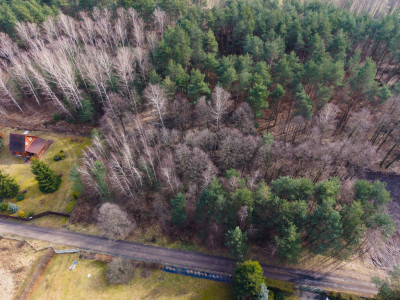 Tanio dobrze i realnie - Zagłoba  -
Łódzkie Zdjęcie nr 9