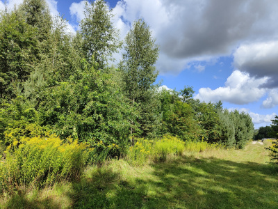 Działka budowlana w miejscowości Słowak w pięknej okolicy -
łódzkie Zdjęcie nr 6