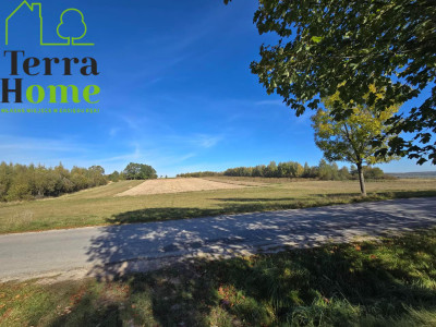 Dwie osobne działki po 3300m2 Wiącka - Wiącka  - świętokrzyskie