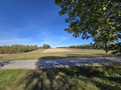 Dwie osobne działki po 3300m2 Wiącka - Wiącka  -
świętokrzyskie Zdjęcie nr 3