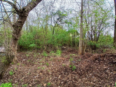 Działka Budowlna 877m2 ul Wojska Polskiego Wietrznia - Wietrznia  -
świętokrzyskie Zdjęcie nr 7