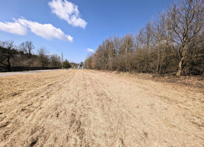 Działka budowlana Kielce Zastawie 1006m2 okazja - Kielce  -
świętokrzyskie Zdjęcie nr 7