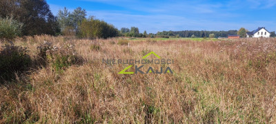 Działka w Zatoniu - Zatonie  - Lubuskie