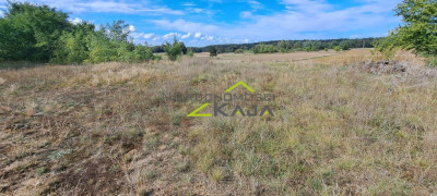 Działka w Zatoniu - Zatonie  -
Lubuskie Zdjęcie nr 2