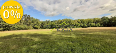 Działka w  otulinie lasu - Grabowiec - Grabowiec  - Lubuskie
