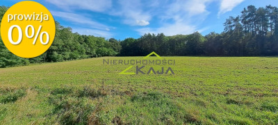 Działka w  otulinie lasu - Grabowiec - Grabowiec  -
Lubuskie Zdjęcie nr 4