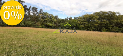 Działka w  otulinie lasu - Grabowiec - Grabowiec  -
Lubuskie Zdjęcie nr 5