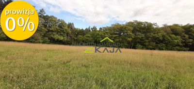Działka w  otulinie lasu - Grabowiec - Grabowiec  -
Lubuskie Zdjęcie nr 6
