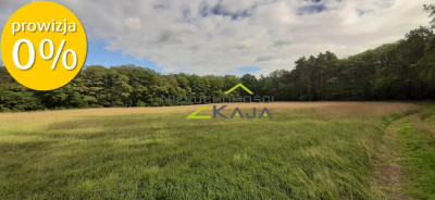 Działka w  otulinie lasu - Grabowiec - Grabowiec  -
Lubuskie Zdjęcie nr 8