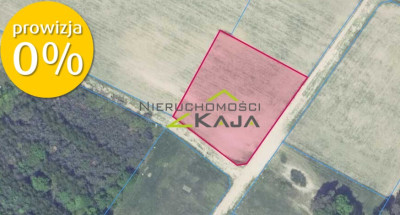 Działka w  otulinie lasu - Grabowiec - Grabowiec  -
Lubuskie Zdjęcie nr 9