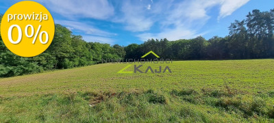 Atrakcyjnie położona działka w gminie Świdnica - Grabowiec  - Lubuskie
