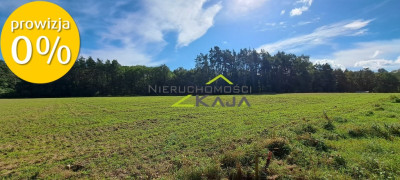 Atrakcyjnie położona działka w gminie Świdnica - Grabowiec  -
Lubuskie Zdjęcie nr 2